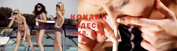 ешки Алексин