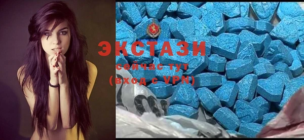 ешки Алексин