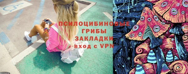 ешки Алексин