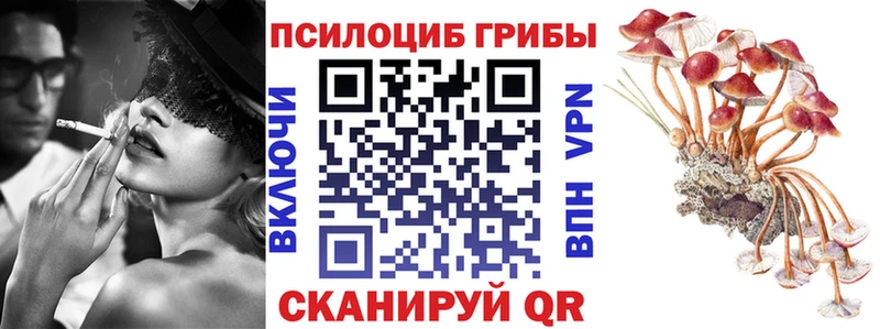 Псилоцибиновые грибы Magic Shrooms  закладка  Анапа 