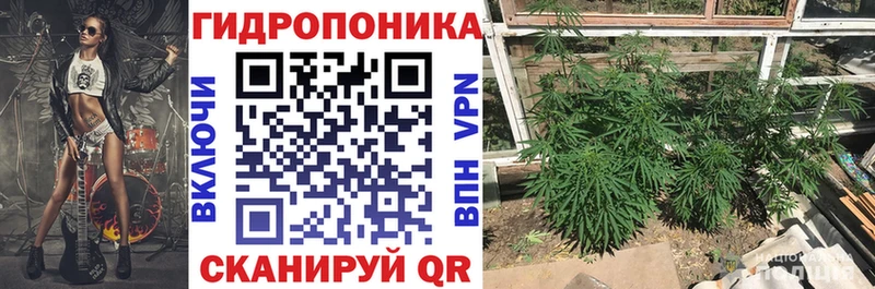 Шишки марихуана марихуана  Анапа 